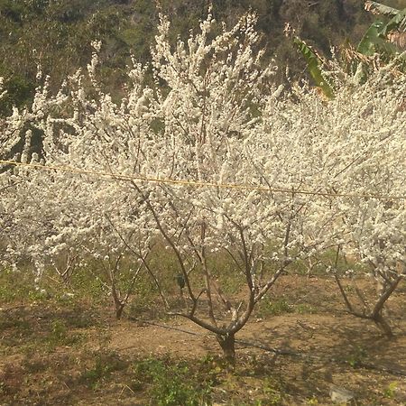 Trieu Chuong Homestay Cao Bang Zewnętrze zdjęcie